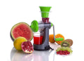 Fruits and vegetable juicer , nano, or mini juicer